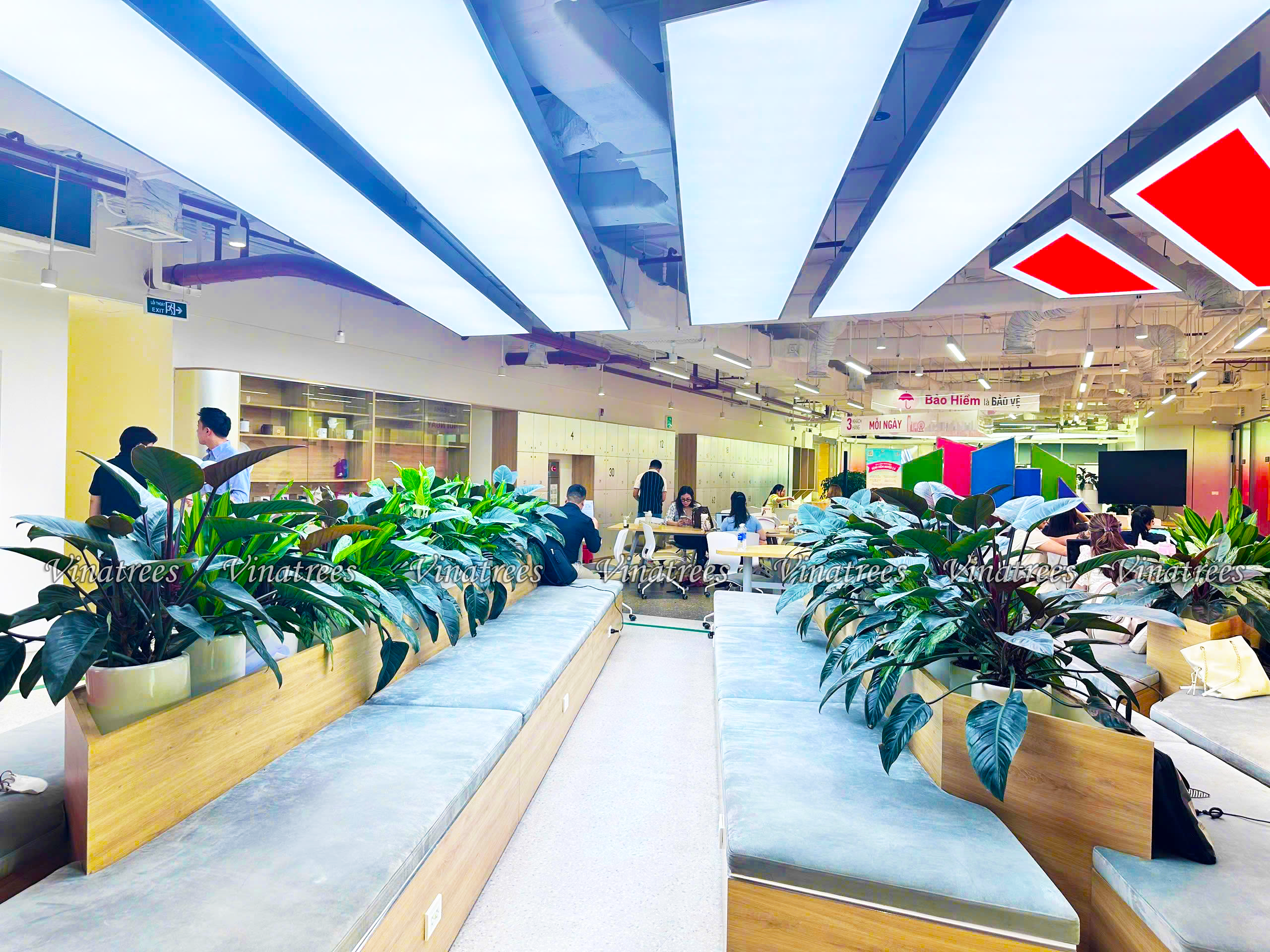 Viantrees thiết kế cảnh quan nội thất phù hợp với từng doanh nghiệp tại tòa nhà Lotte Center